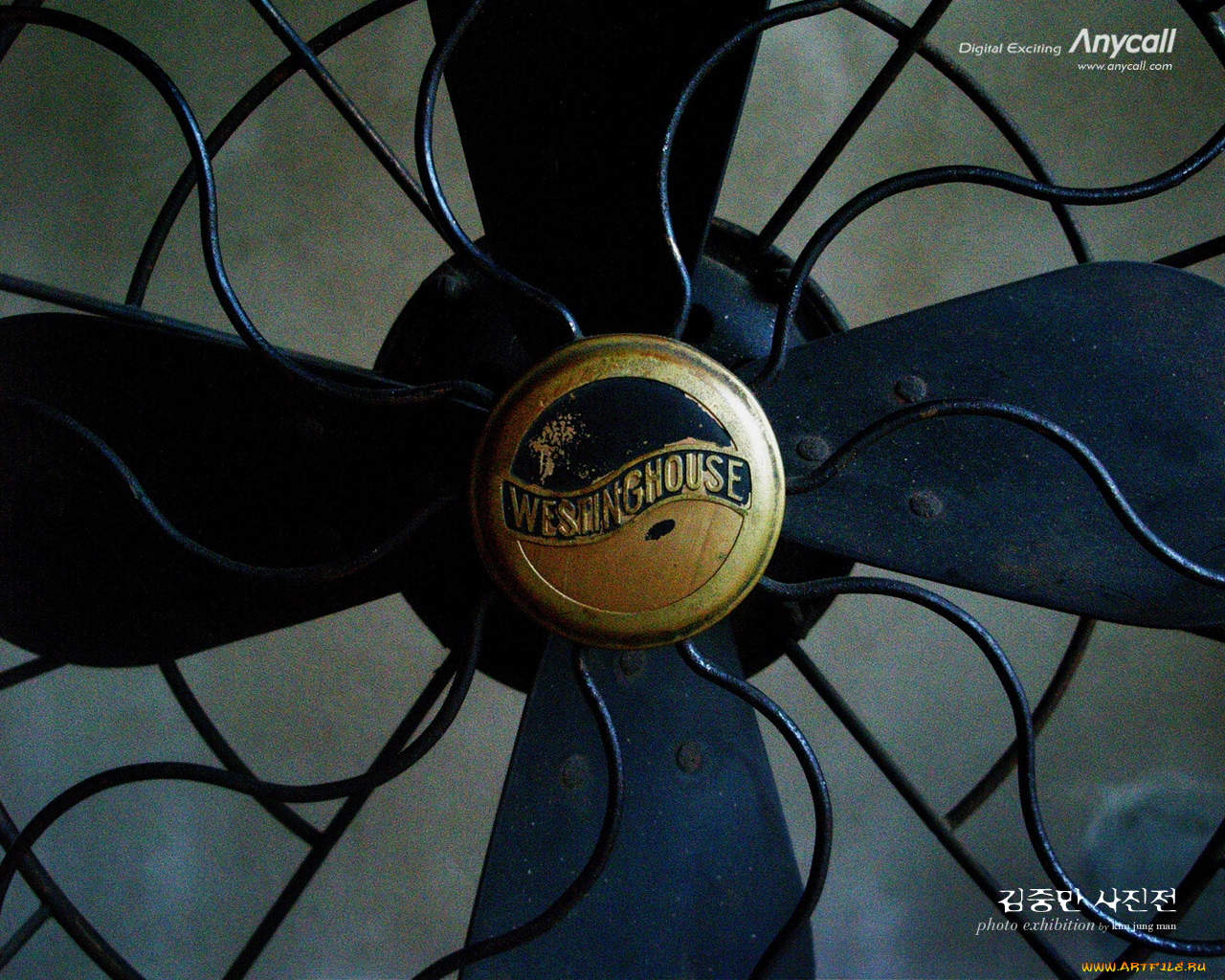 бренды, anycall