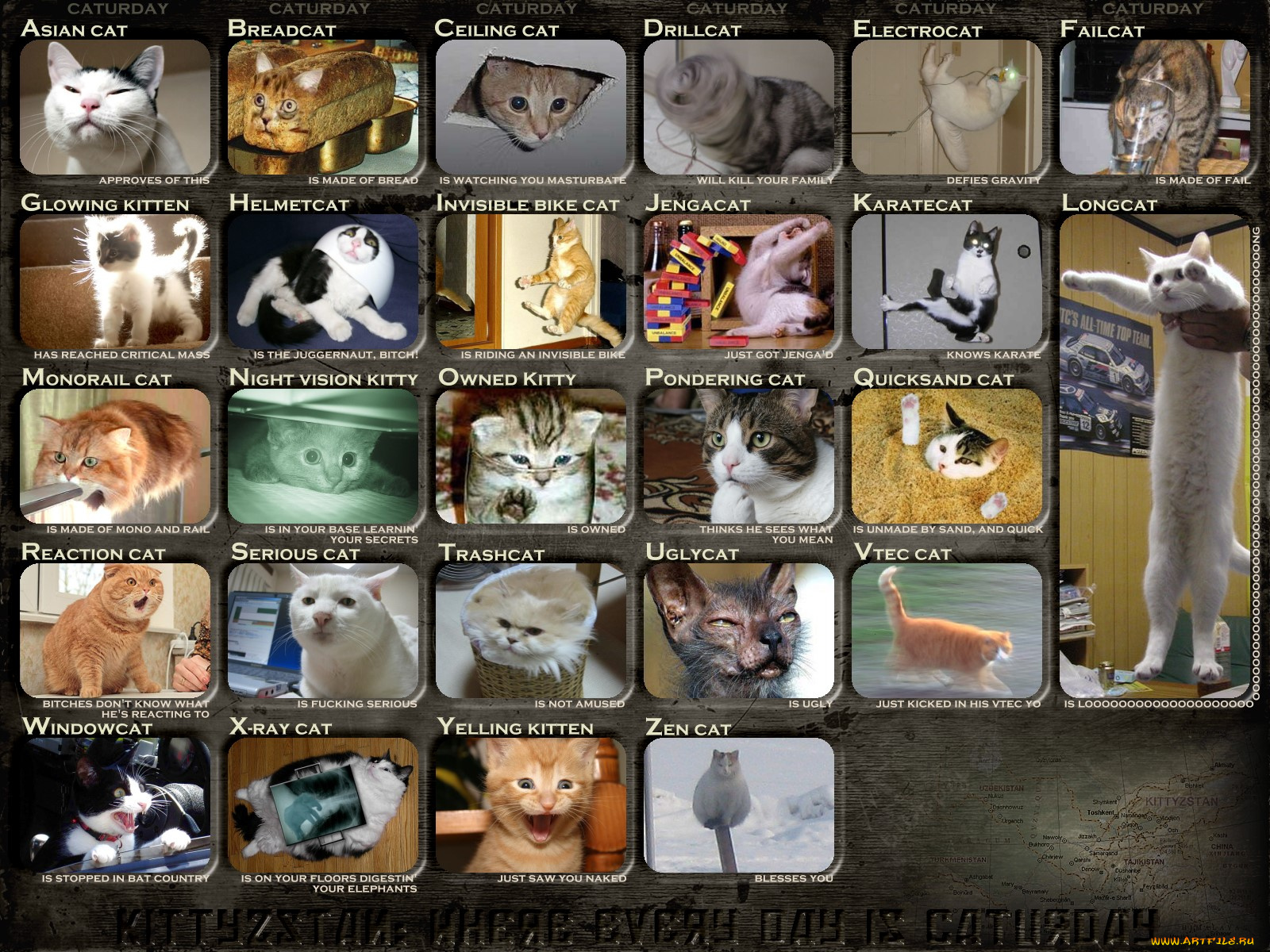 юмор, приколы