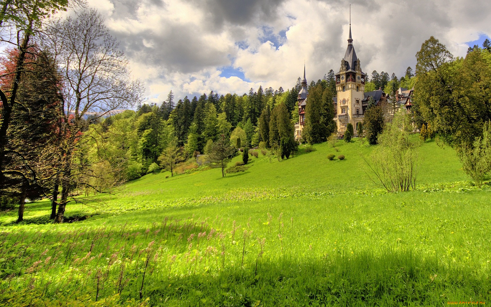 peles, castle, sinaia, romania, города, замок, пелеш, румыния