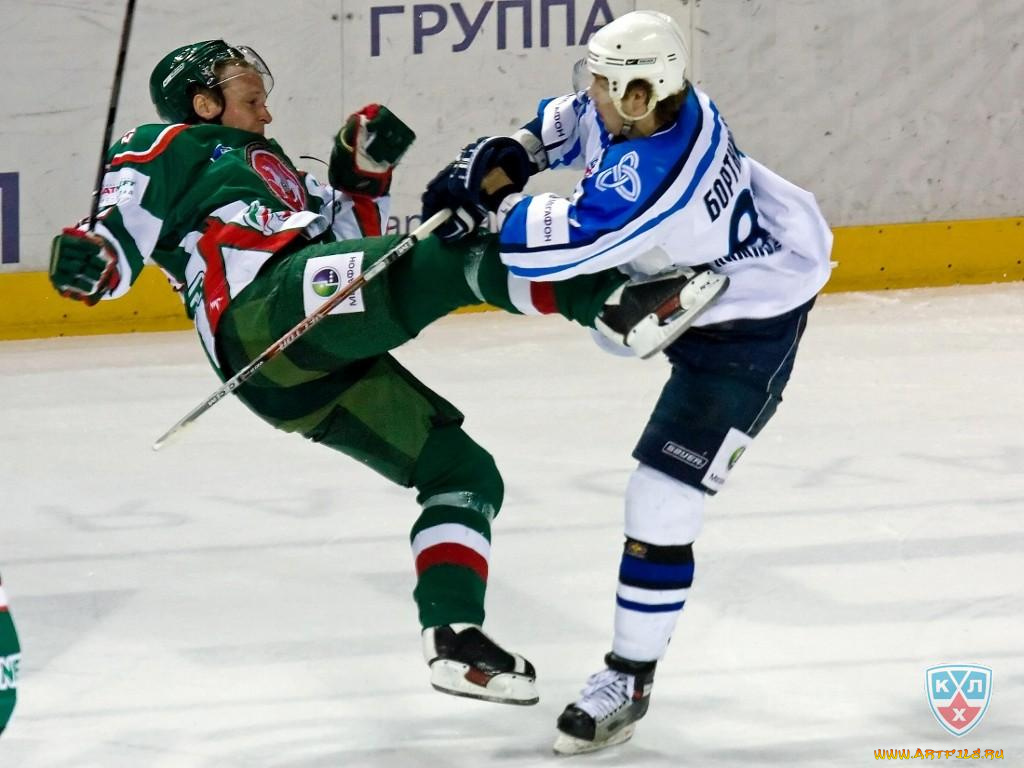 спорт, хоккей