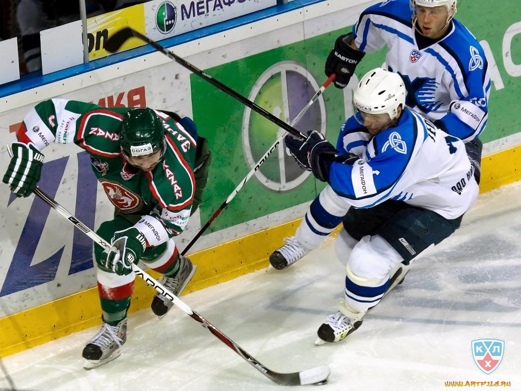 спорт, хоккей