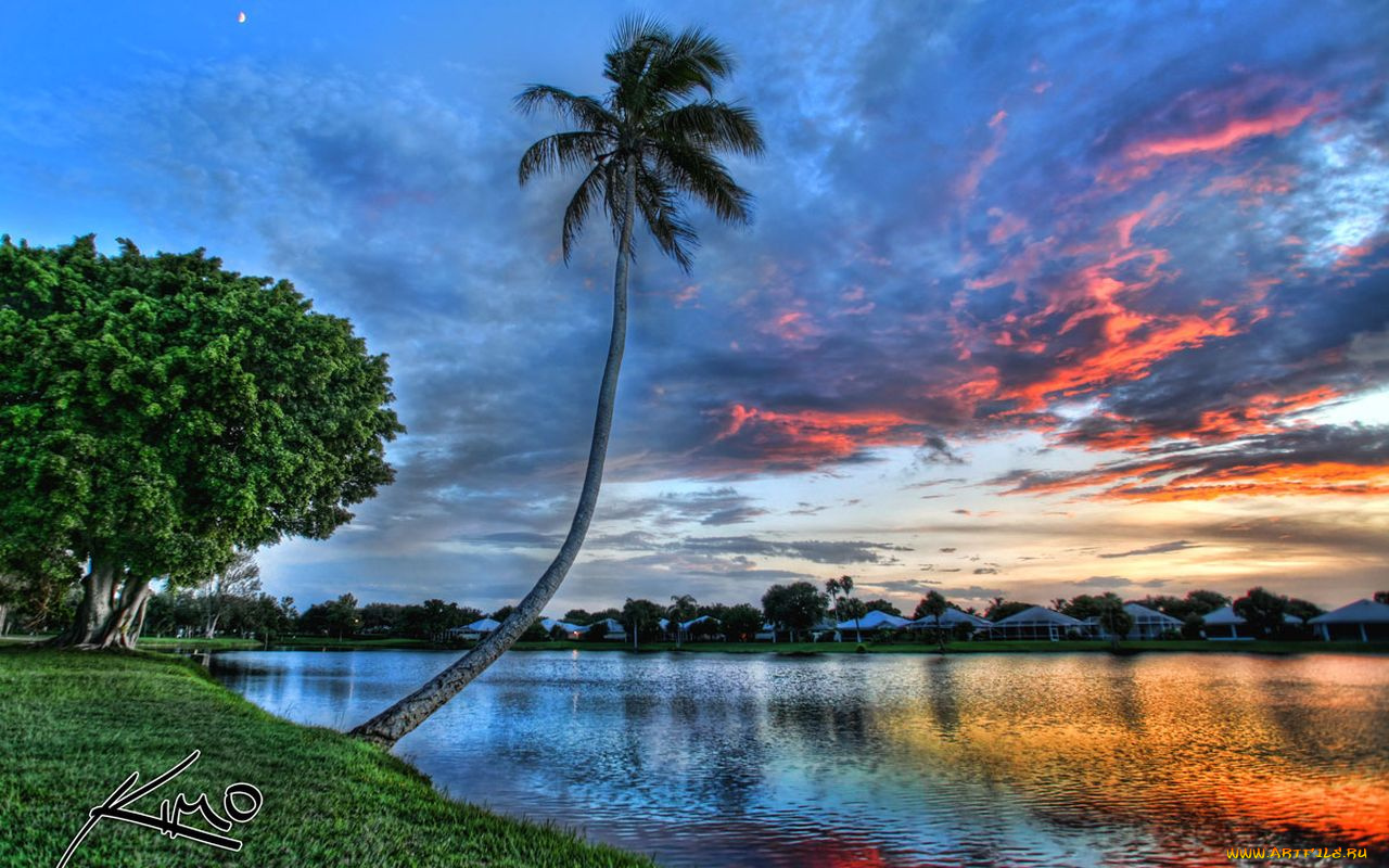 природа, тропики