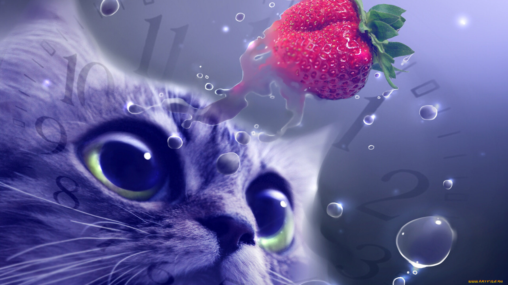 разное, компьютерный, дизайн, циферблат, часы, клубника, ягода, кошка, капли, кот
