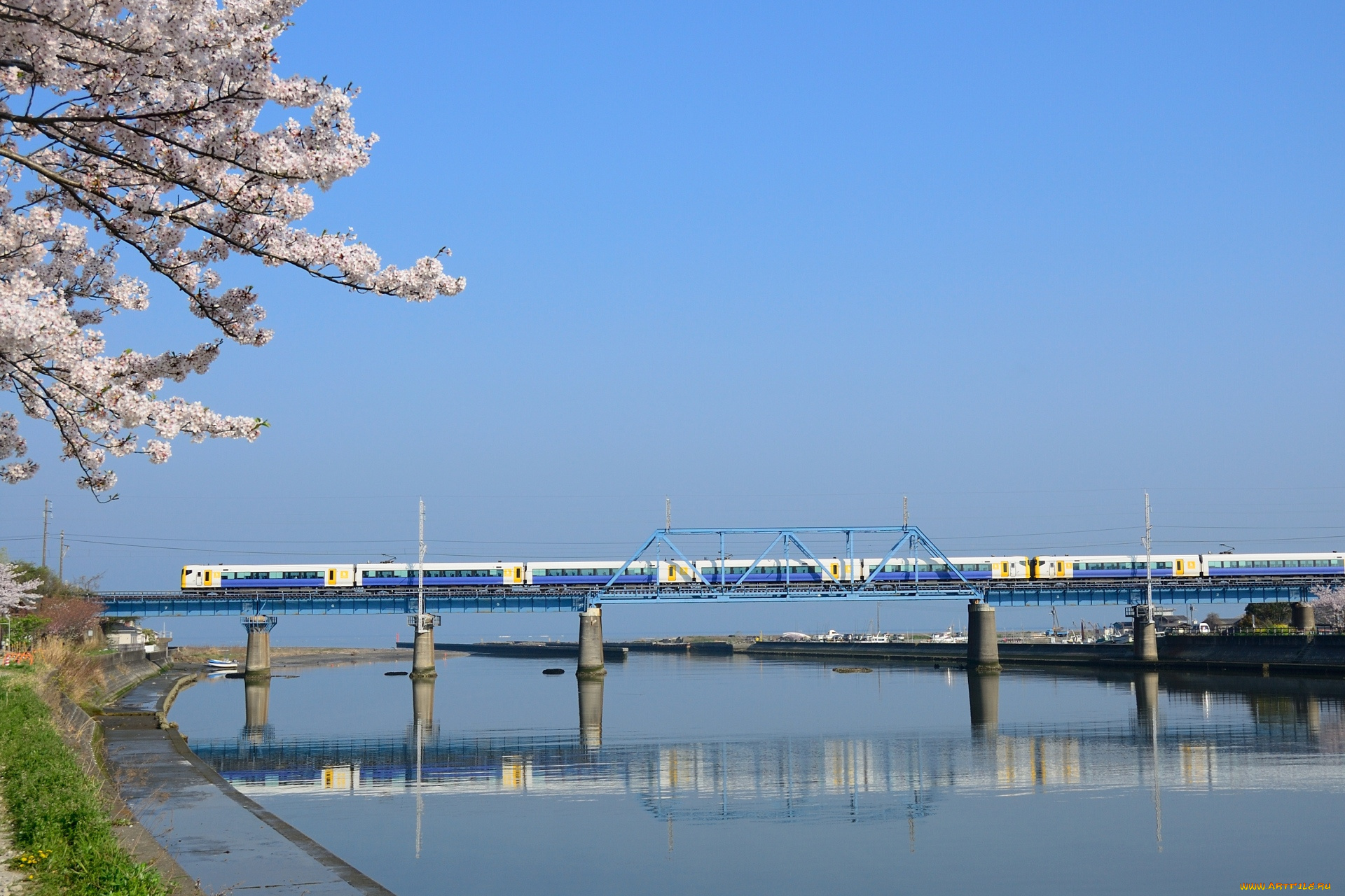 техника, поезда, мост, река