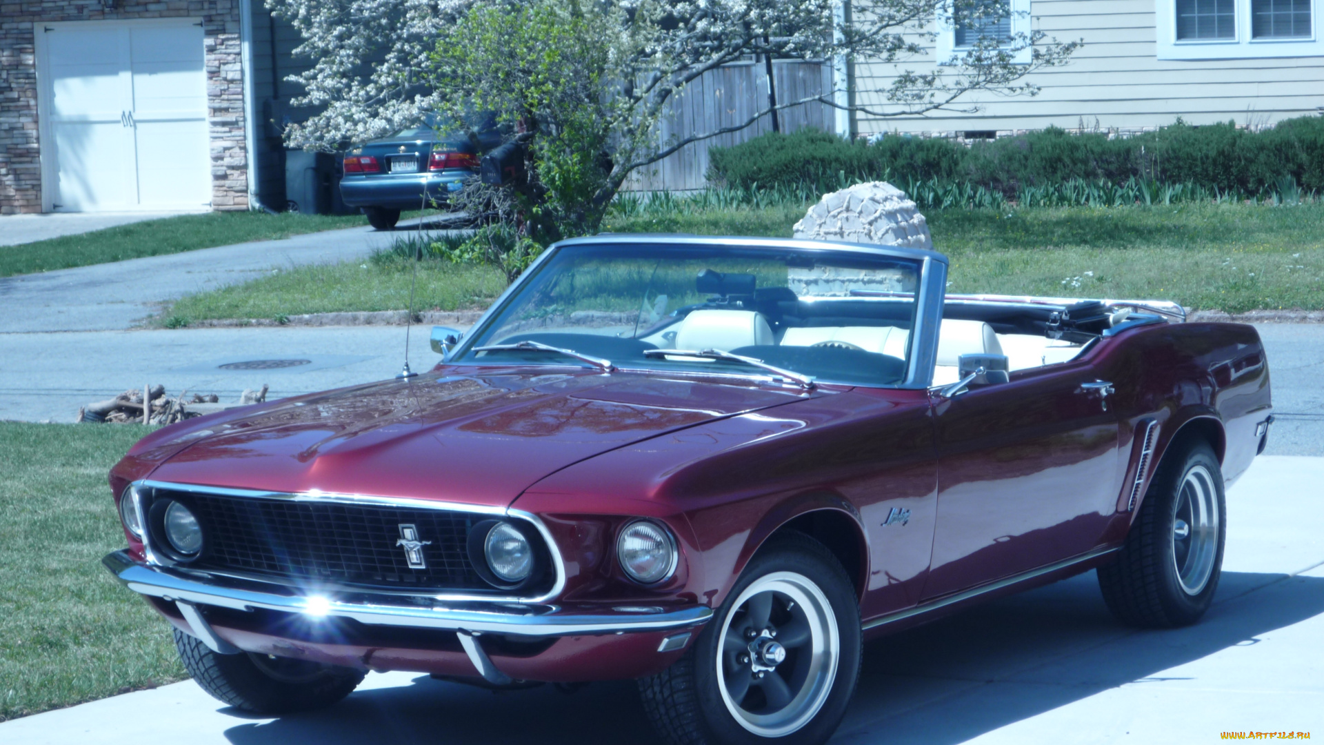 автомобили, mustang