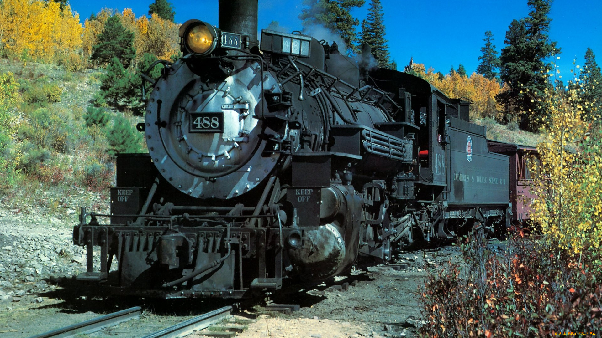 техника, паровозы, редьсы, паровоз, вагоны, лес