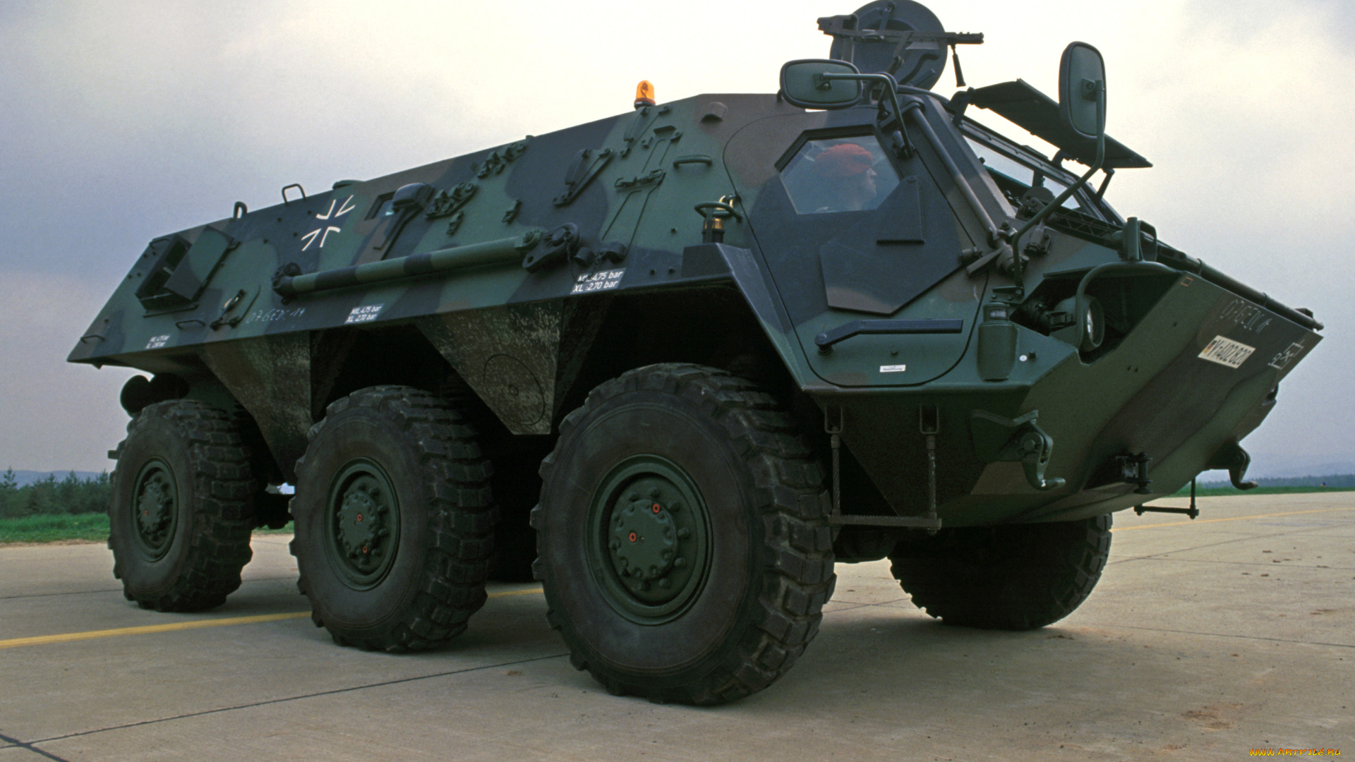 tpz, техника, военная, лис