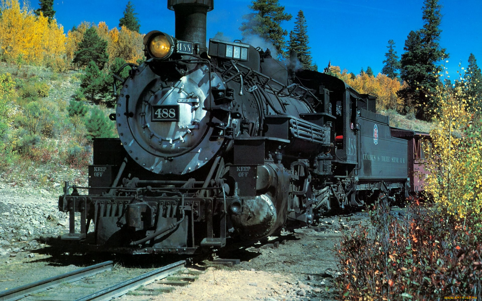 техника, паровозы, редьсы, паровоз, вагоны, лес