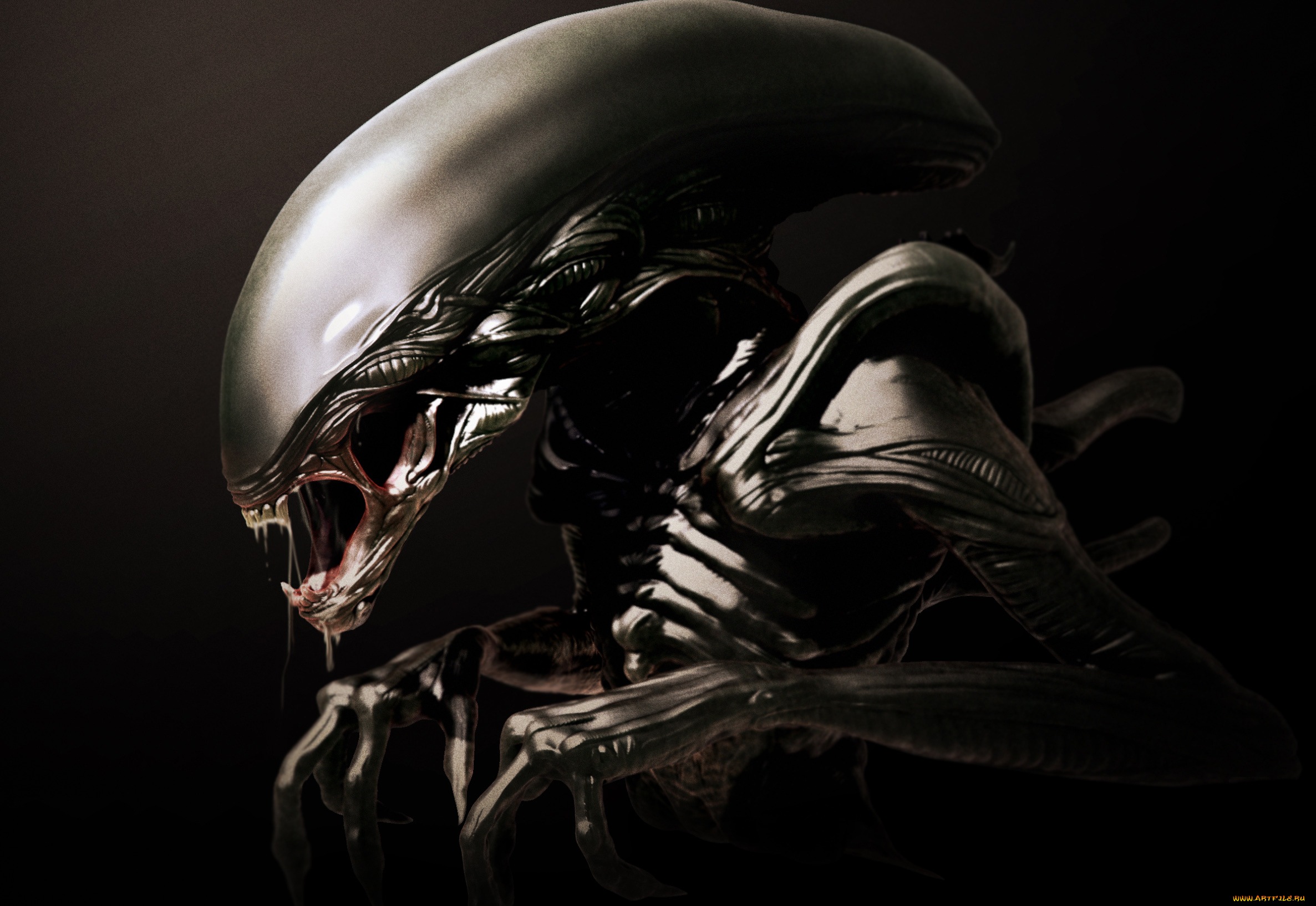 фэнтези, существа, чужой, alien