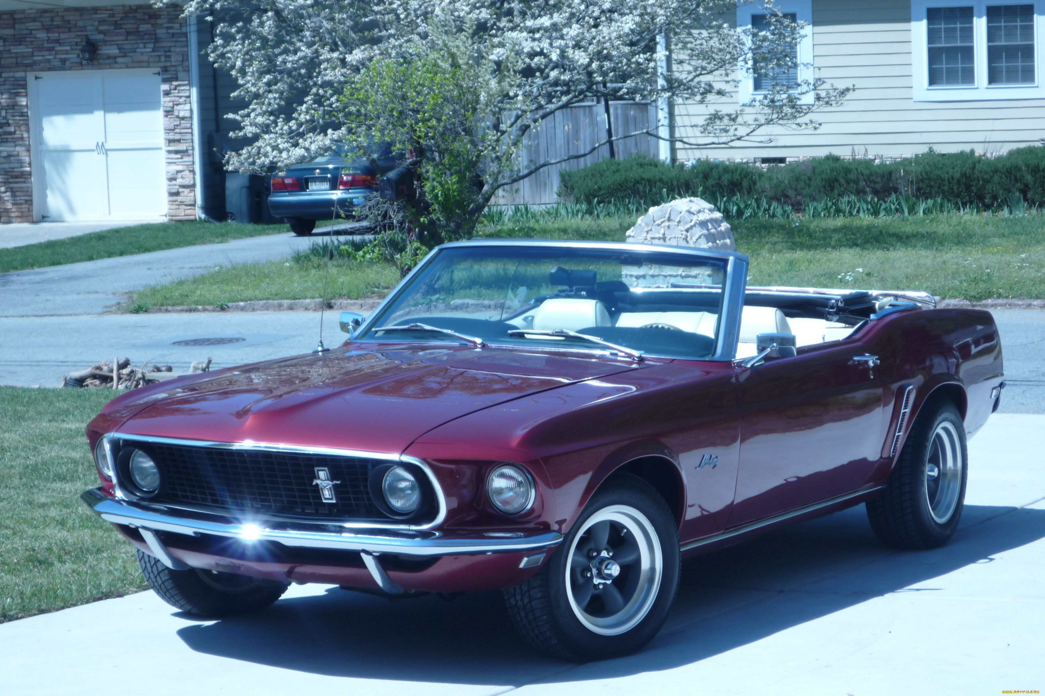 автомобили, mustang