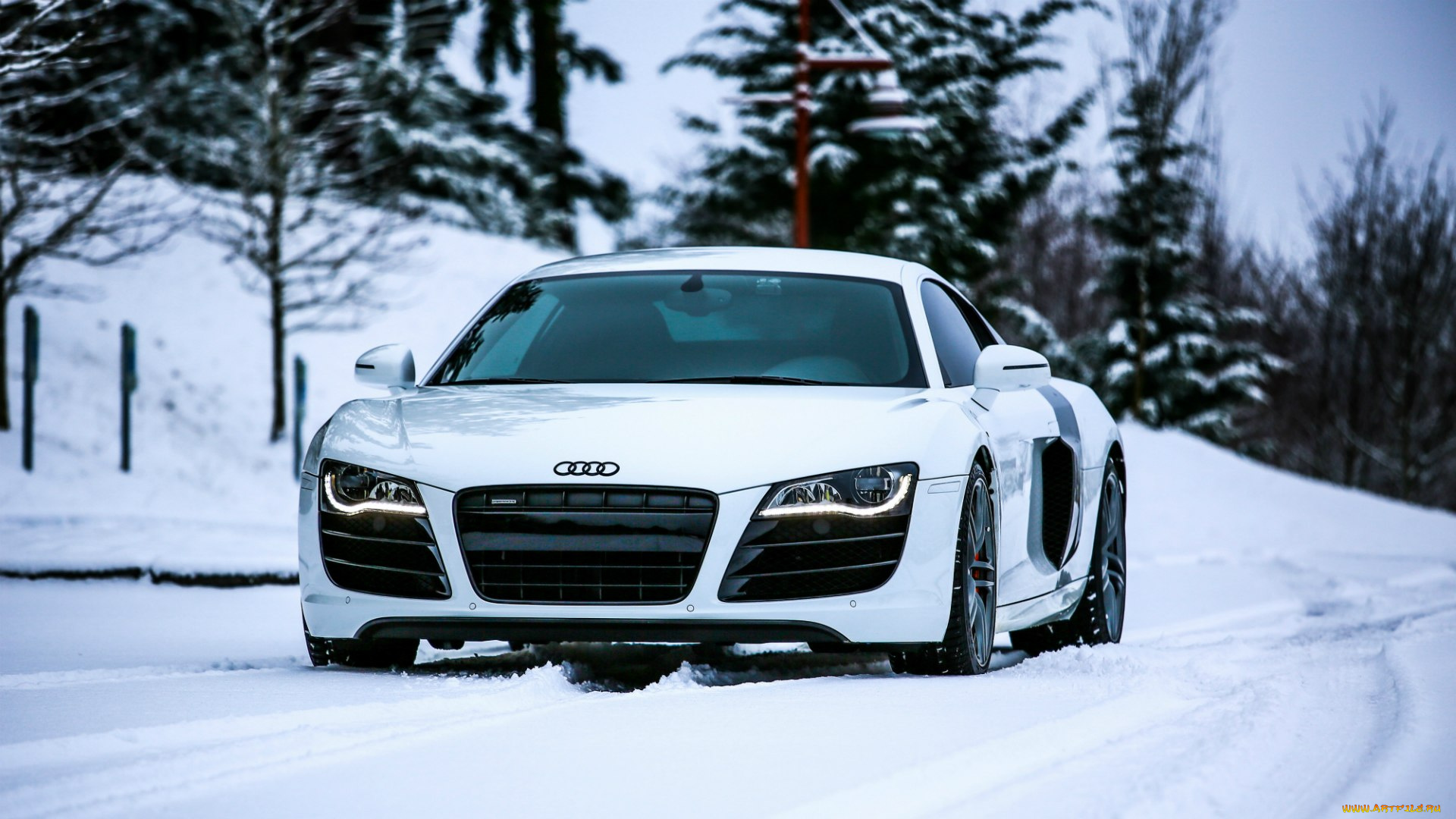 автомобили, audi, r8