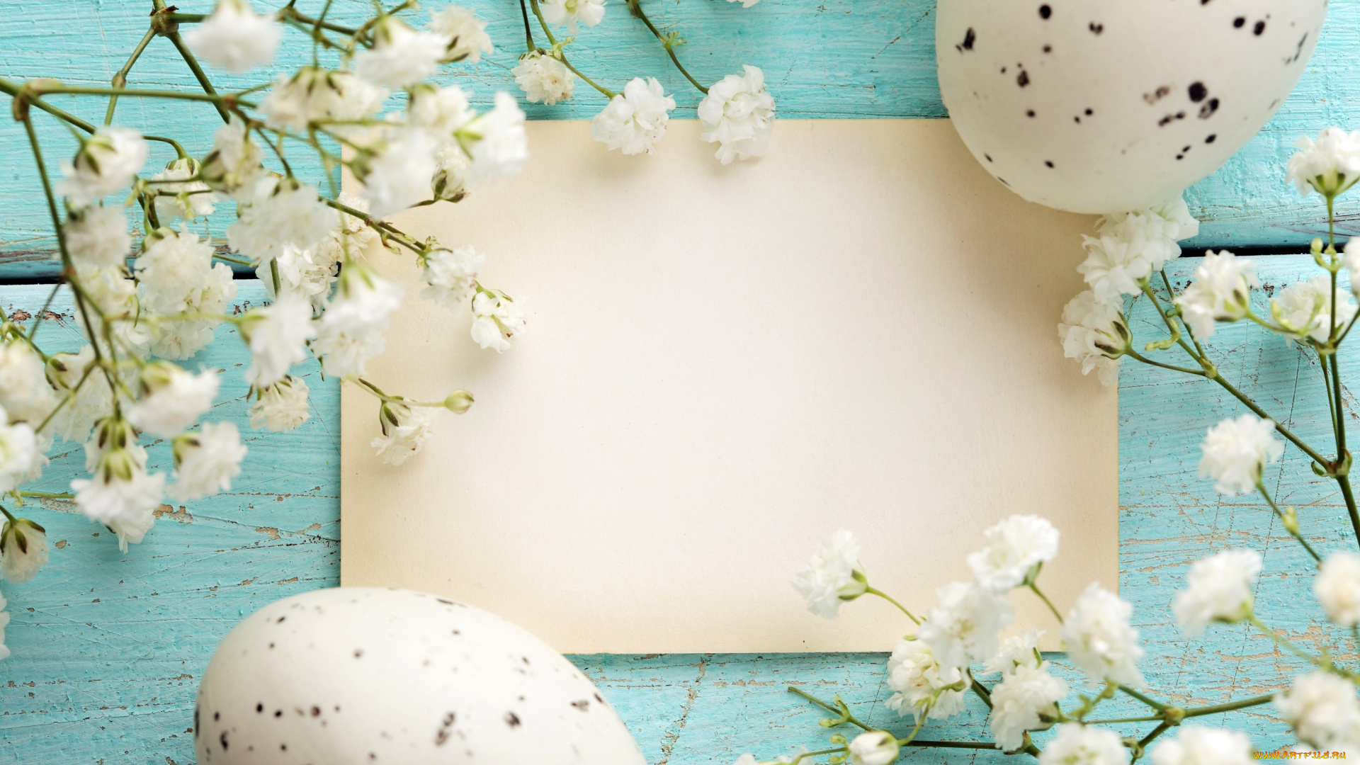 праздничные, пасха, открытка, цветочки, гнездо, яички, праздник