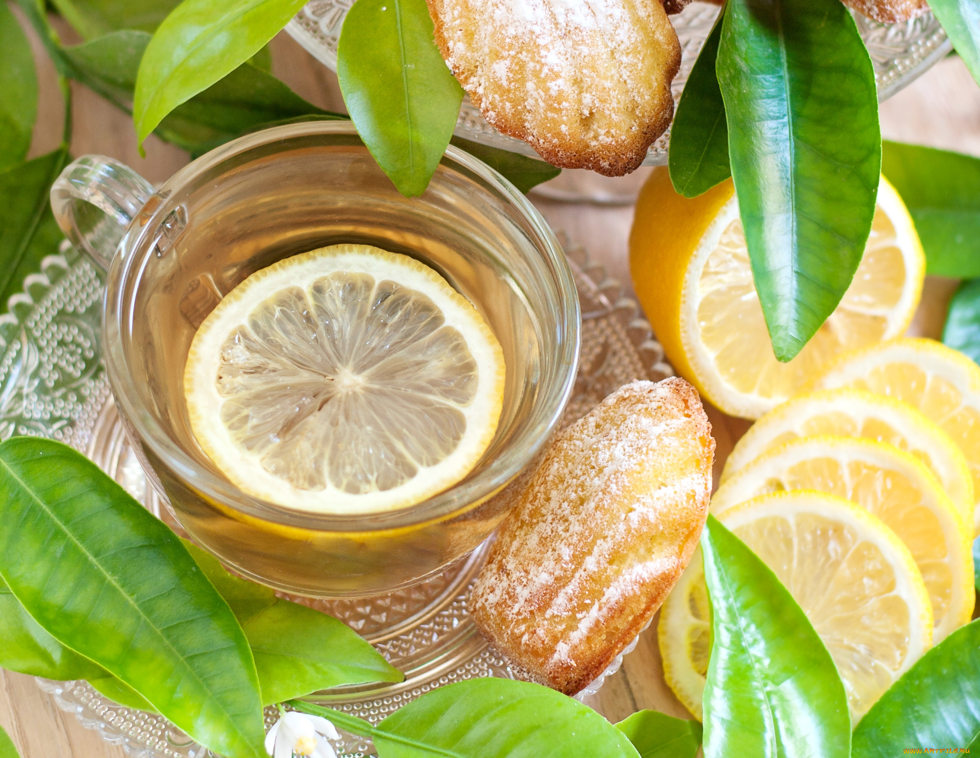 еда, напитки, , Чай, лимон, мадлен