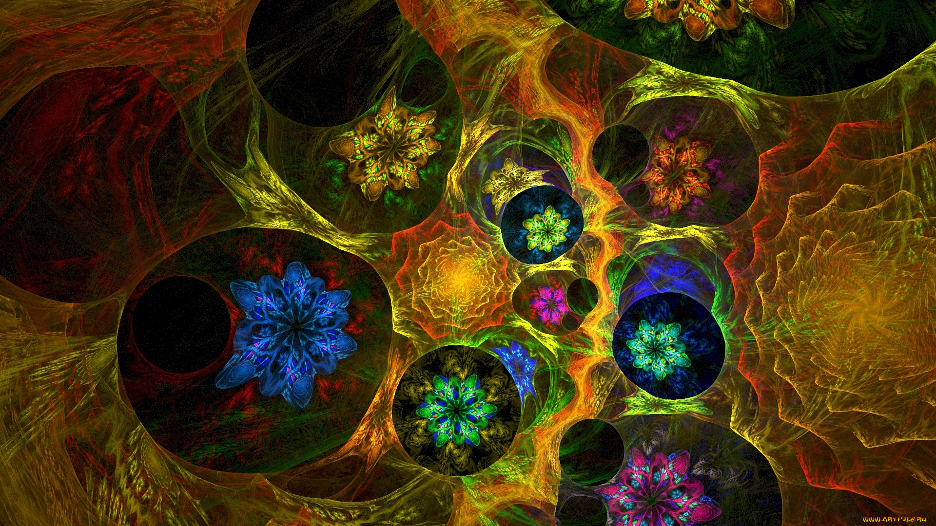 3д, графика, абстракция, , abstract, абстракция, фрактал, цветы, звёзды, спирали, завихрение, узоры