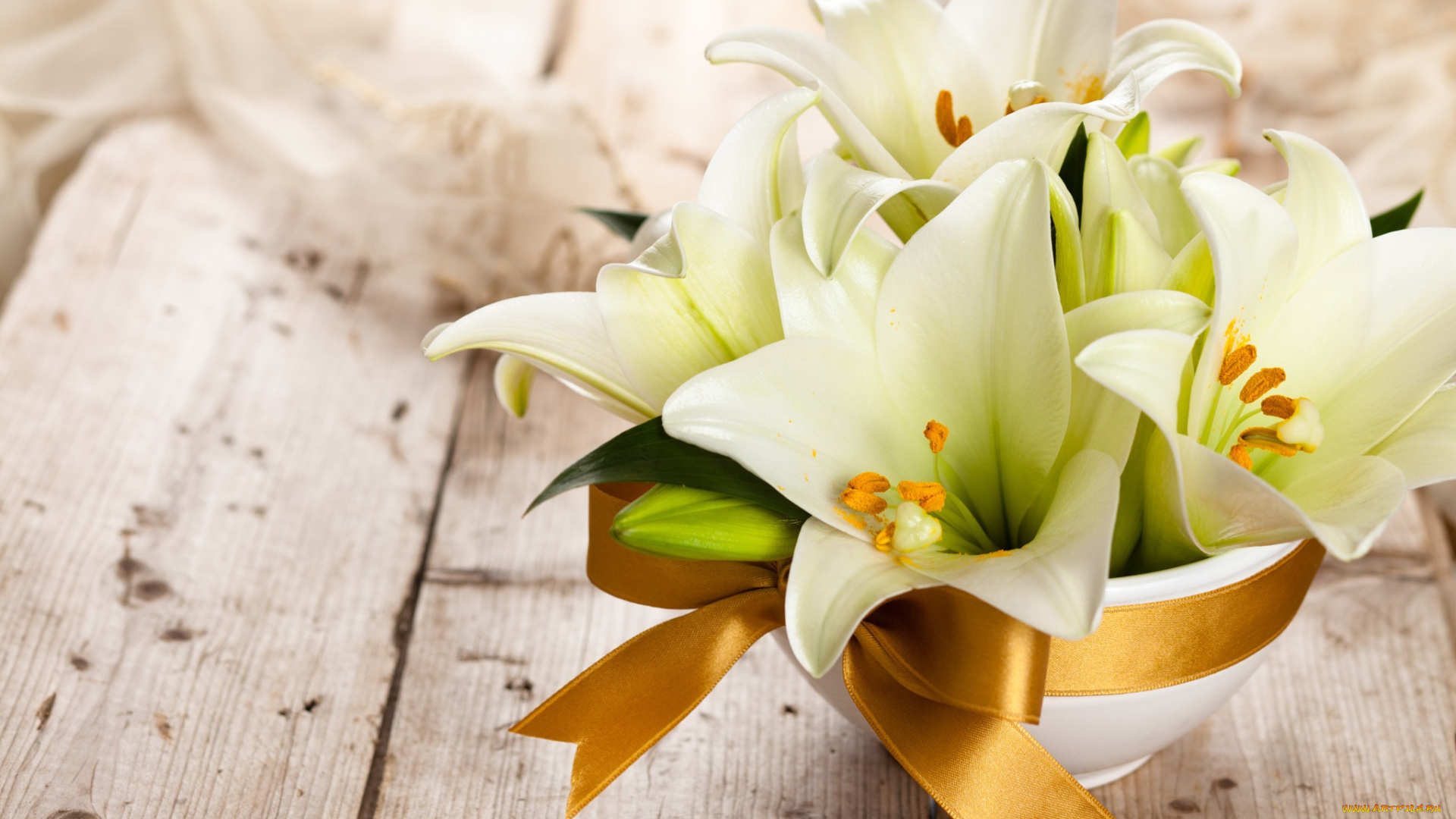 цветы, лилии, , лилейники, букет, белые