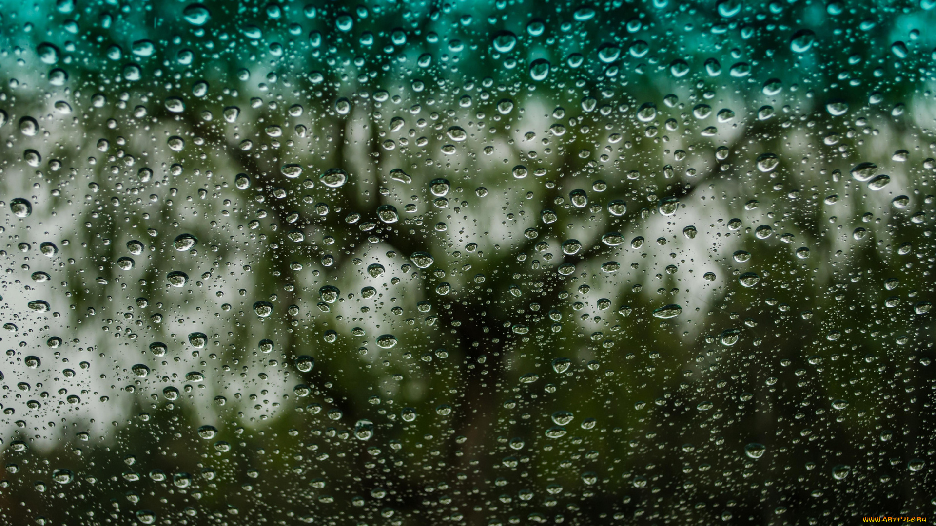 разное, капли, , брызги, , всплески, стекло, цвет, вода