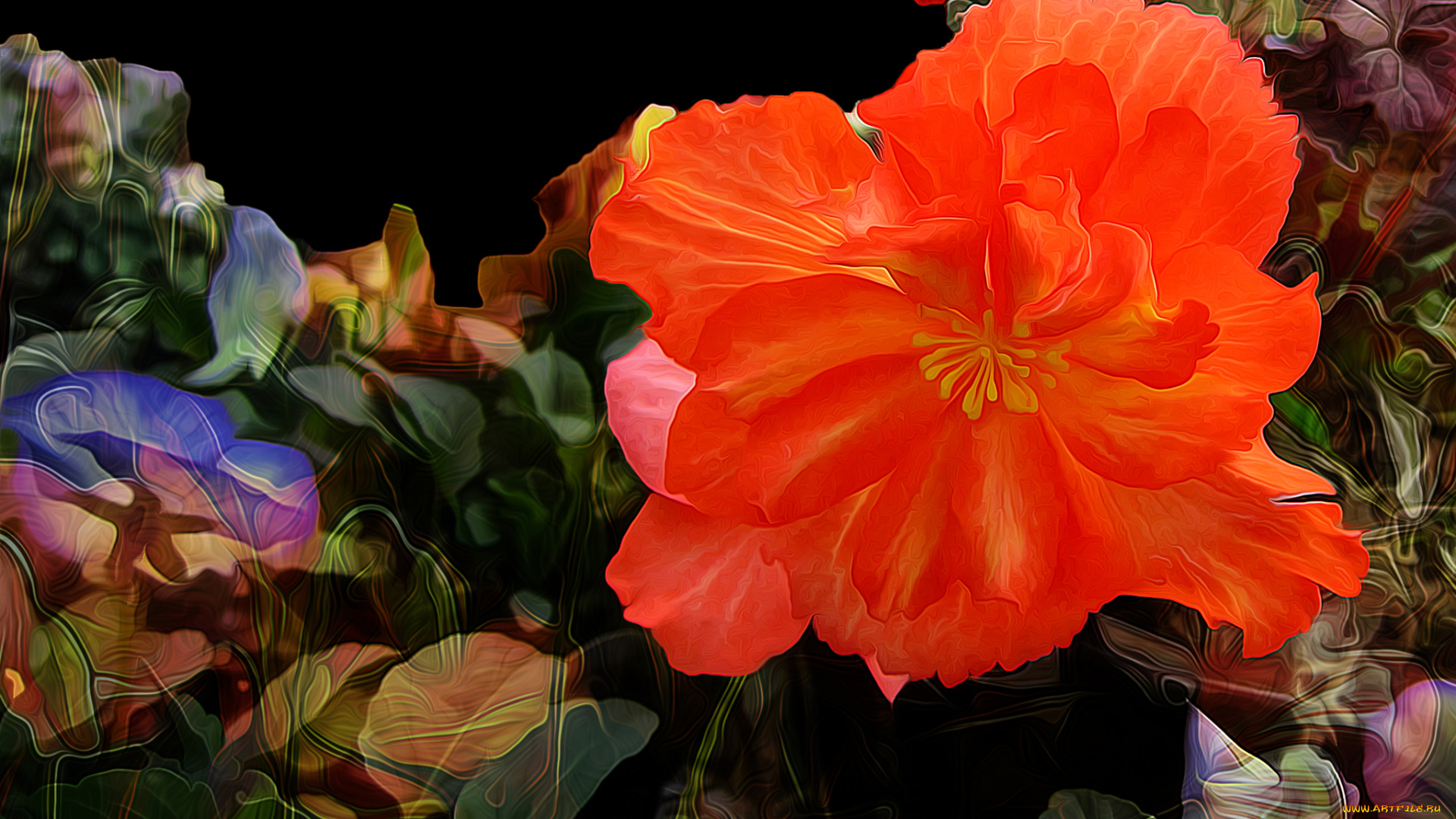 разное, компьютерный, дизайн, цветок, лепестки, природа, линии, штрих