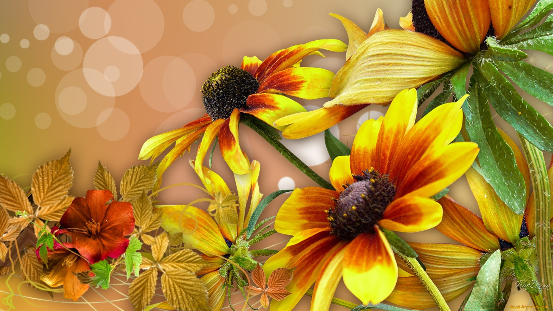 разное, компьютерный, дизайн, коллаж, цветы, листья, осень