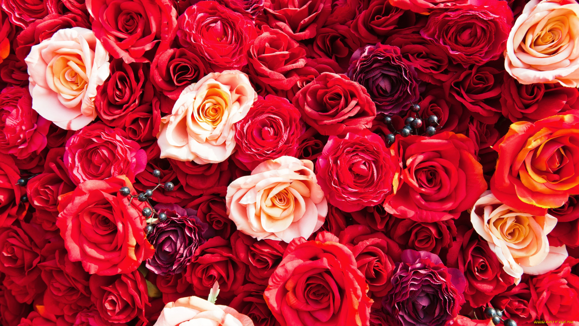 разное, ремесла, , поделки, , рукоделие, roses, розы, flowers, красные, цветы