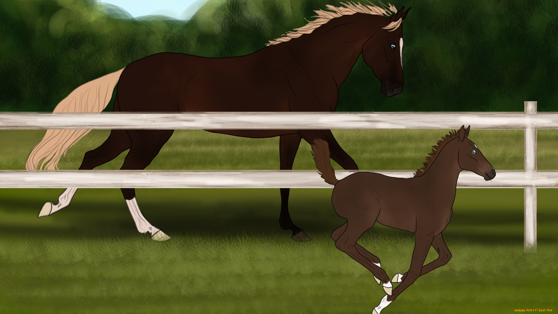 рисованное, животные, , лошади, лошадь, забор, лошадка