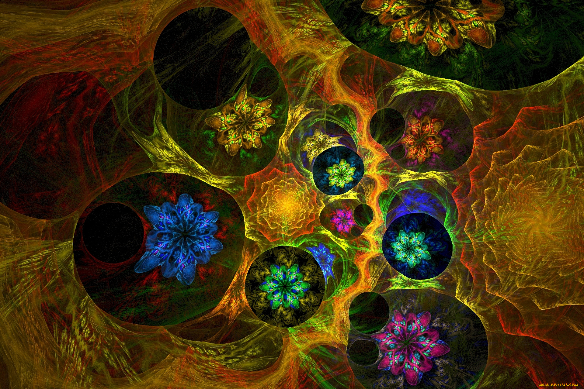 3д, графика, абстракция, , abstract, абстракция, фрактал, цветы, звёзды, спирали, завихрение, узоры