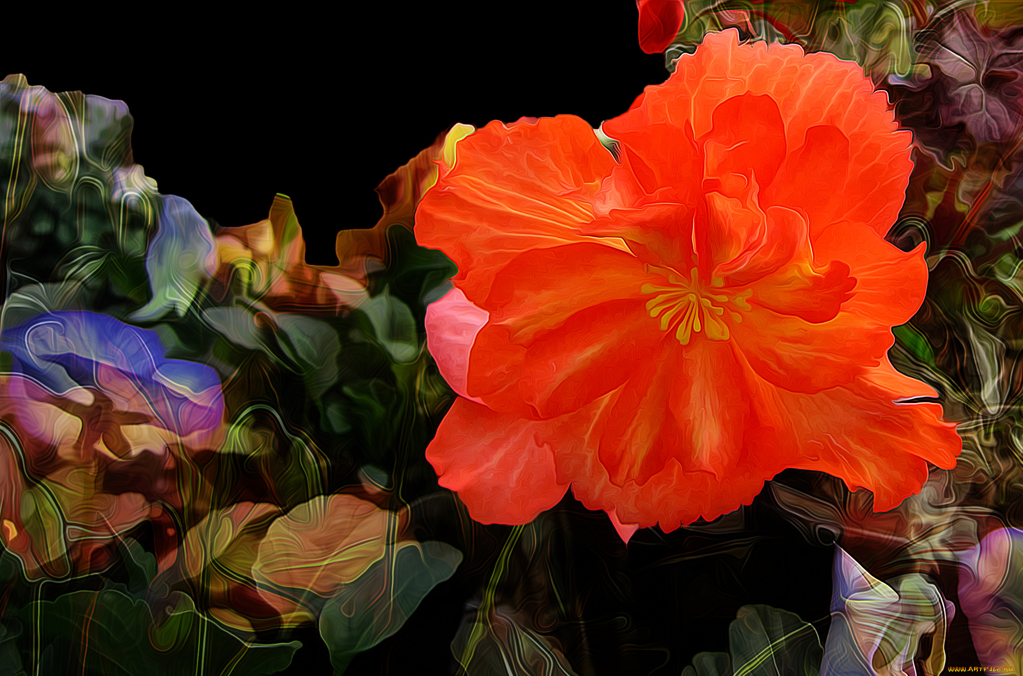 разное, компьютерный, дизайн, цветок, лепестки, природа, линии, штрих