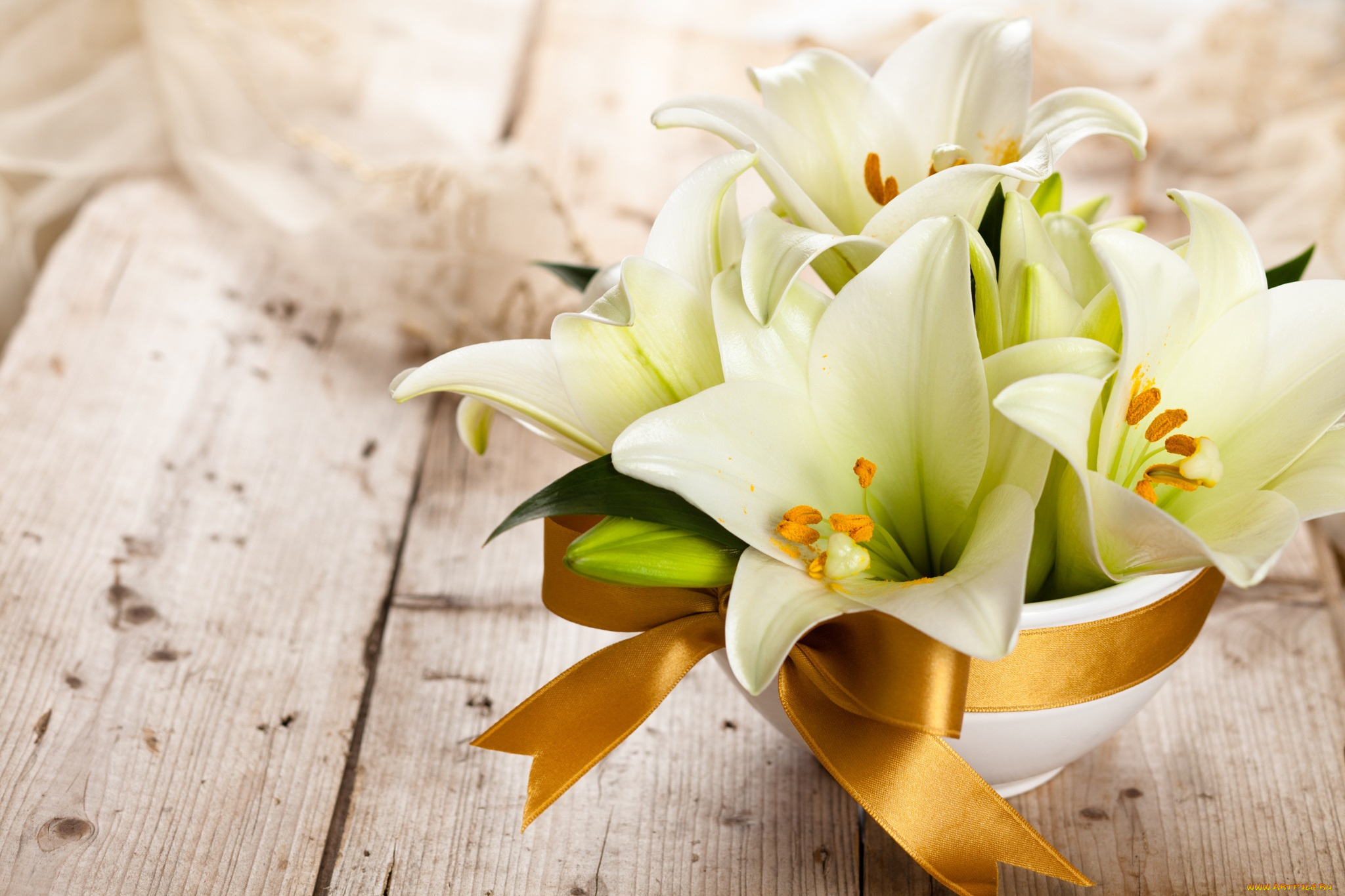 цветы, лилии, , лилейники, букет, белые