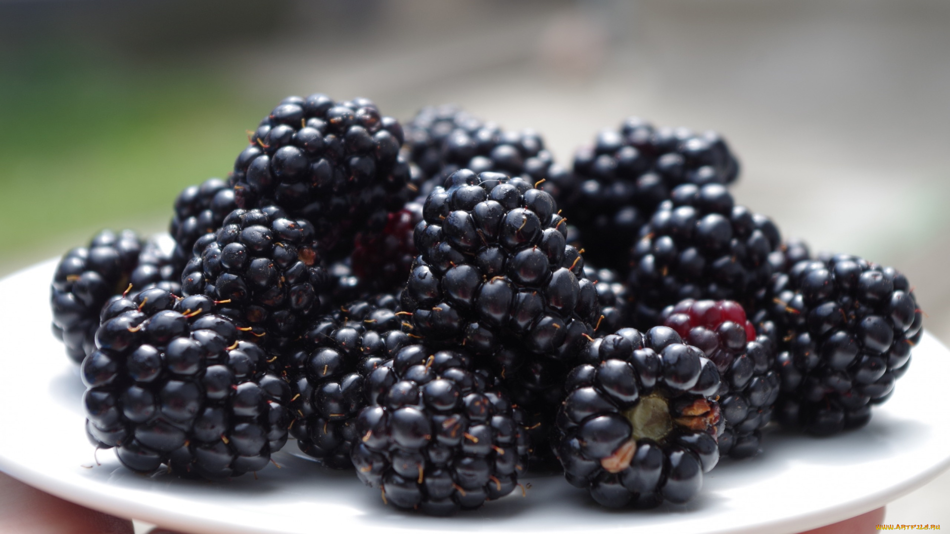 еда, ежевика, ягоды