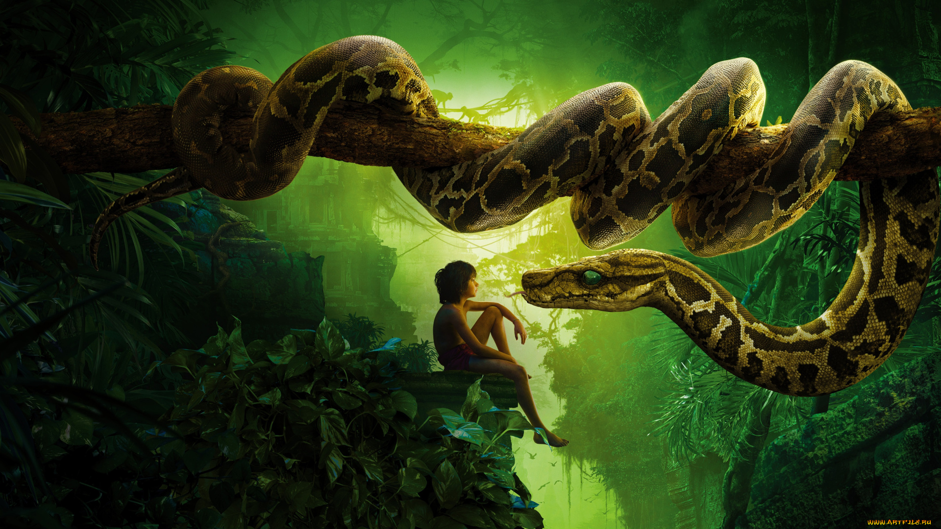 кино, фильмы, the, jungle, book, приключения, книга, джунглей, the, jungle, book