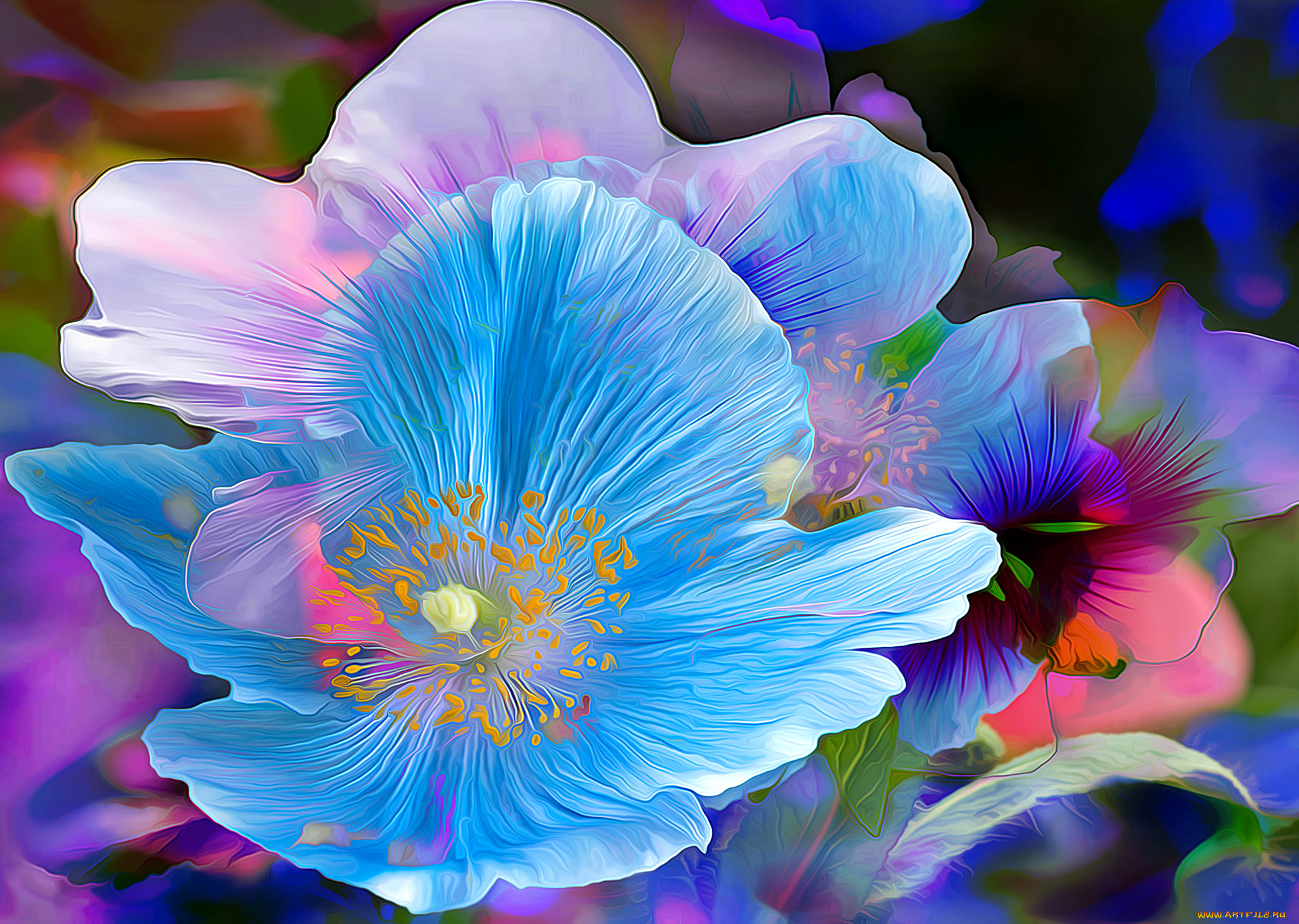 разное, компьютерный, дизайн, цветок, лепестки, линии, краски, макро