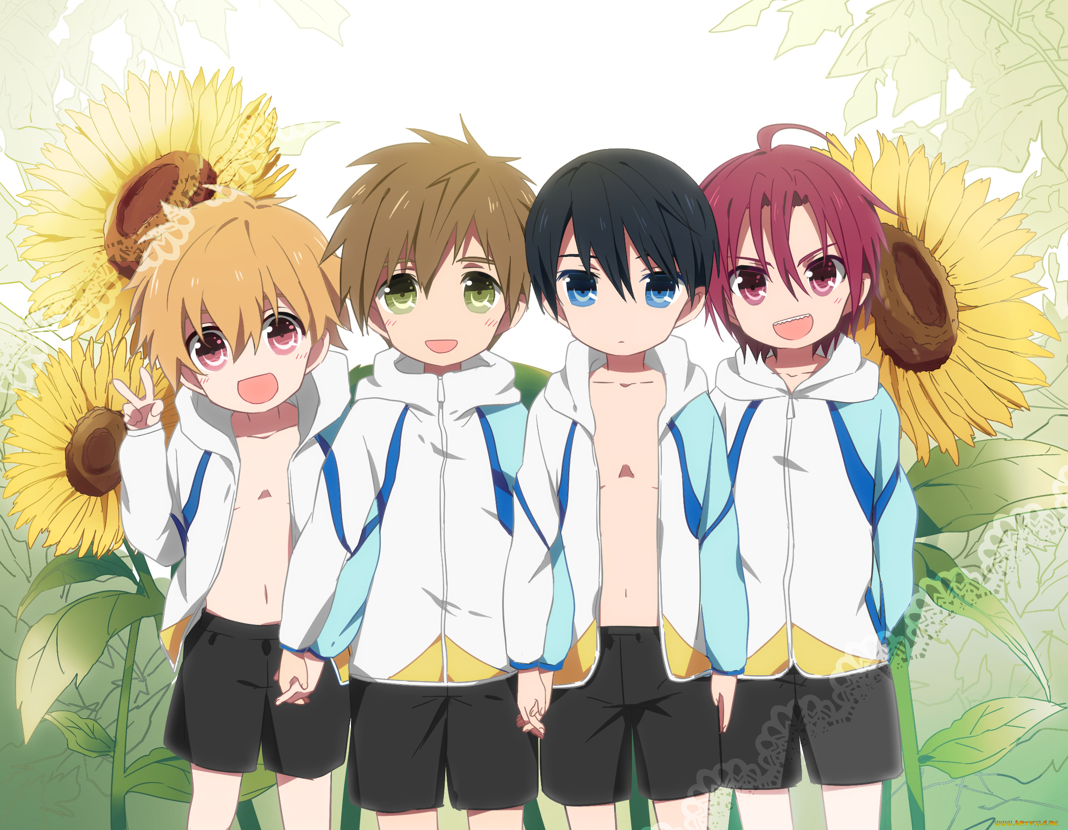 аниме, free, мальчики