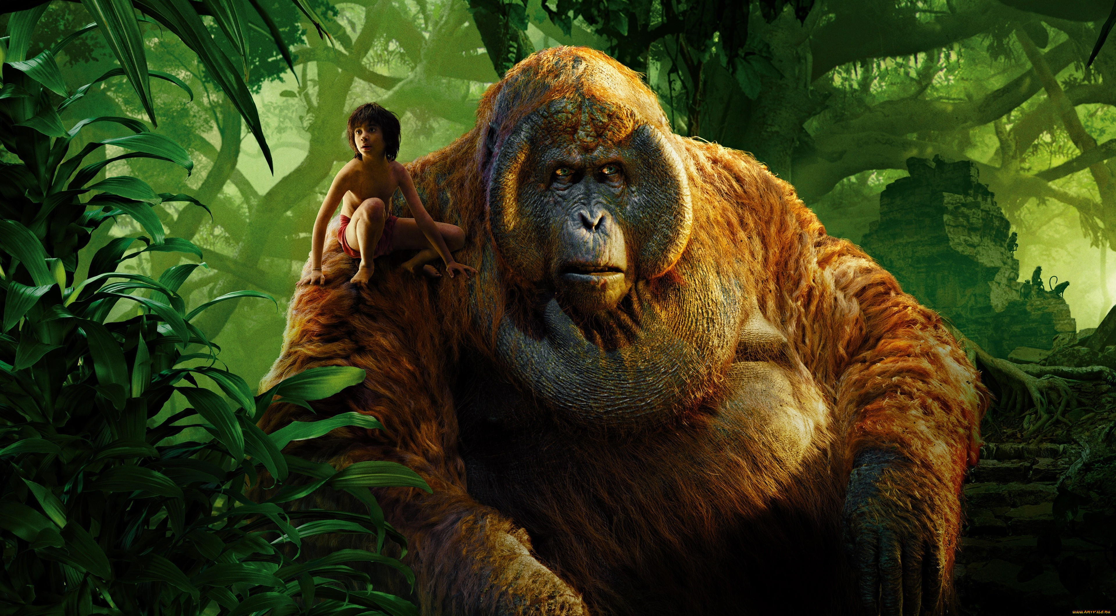 кино, фильмы, the, jungle, book, приключения, книга, джунглей, the, jungle, book