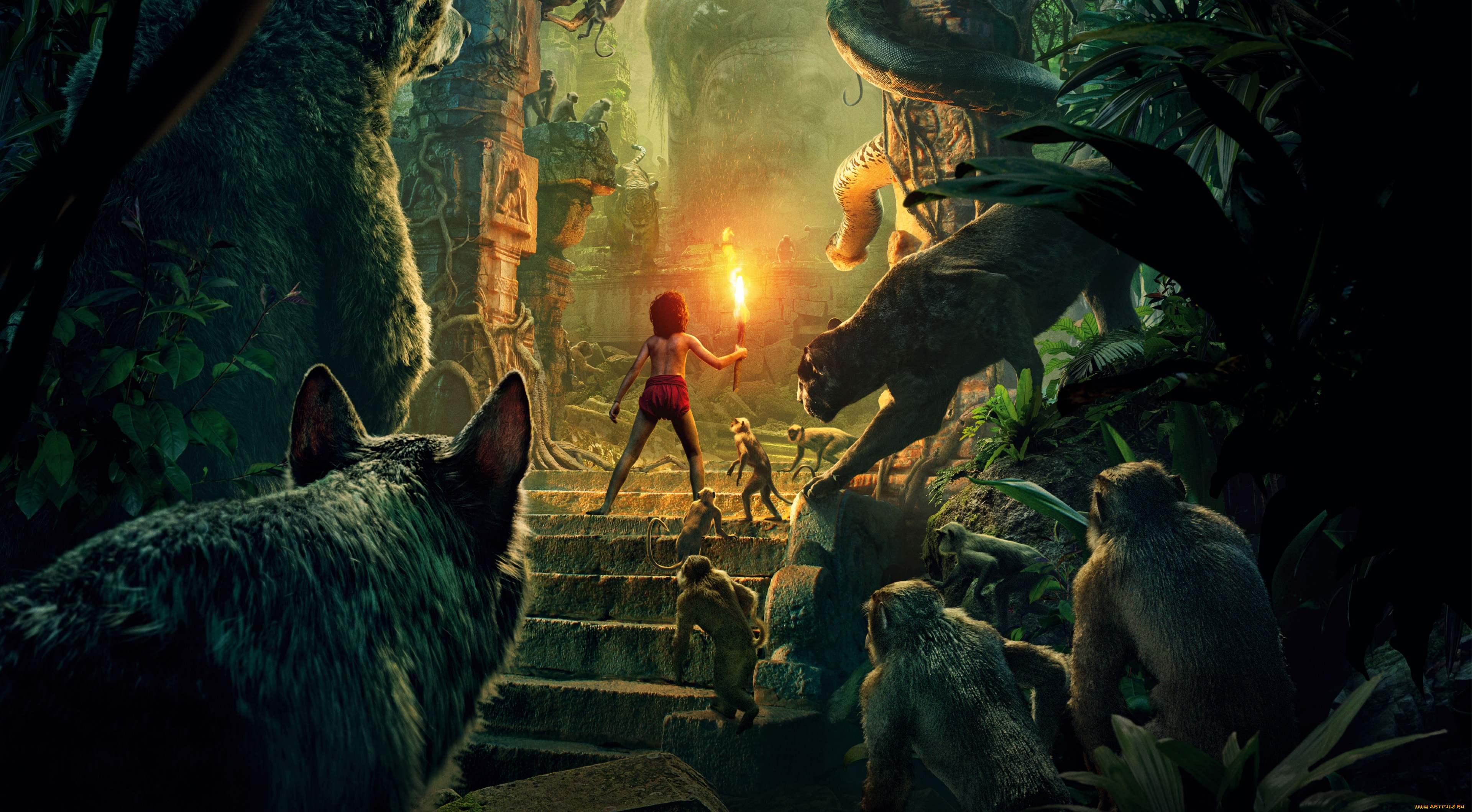 кино, фильмы, the, jungle, book, приключения, книга, джунглей, the, jungle, book