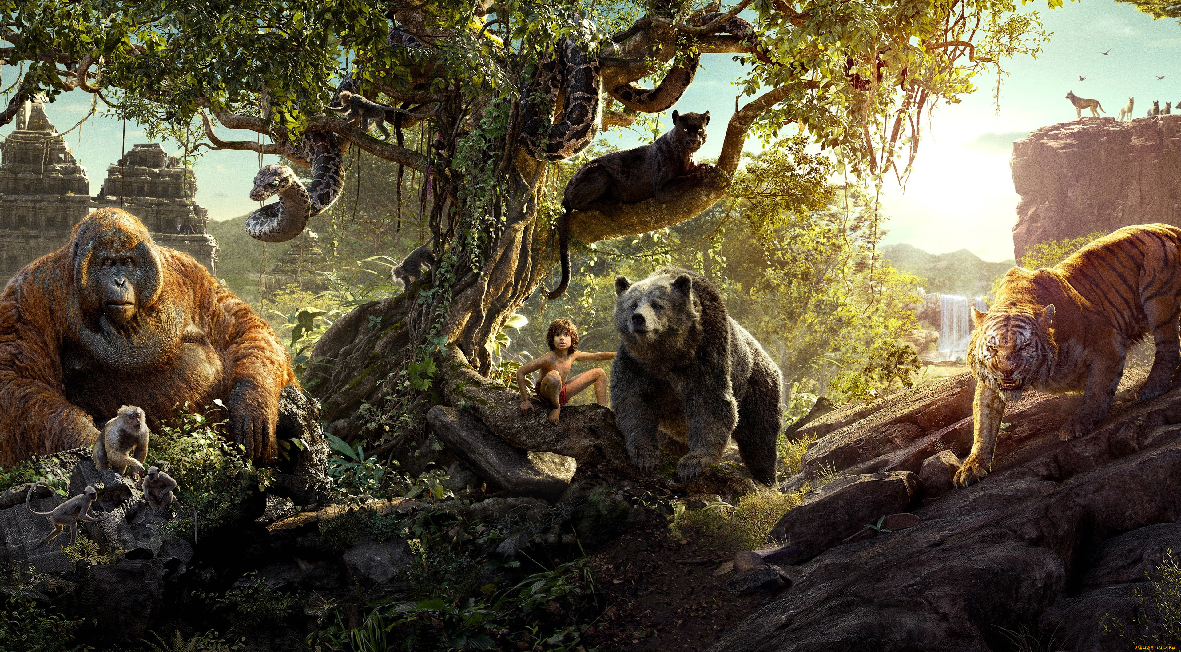 кино, фильмы, the, jungle, book, the, jungle, book, приключения, книга, джунглей