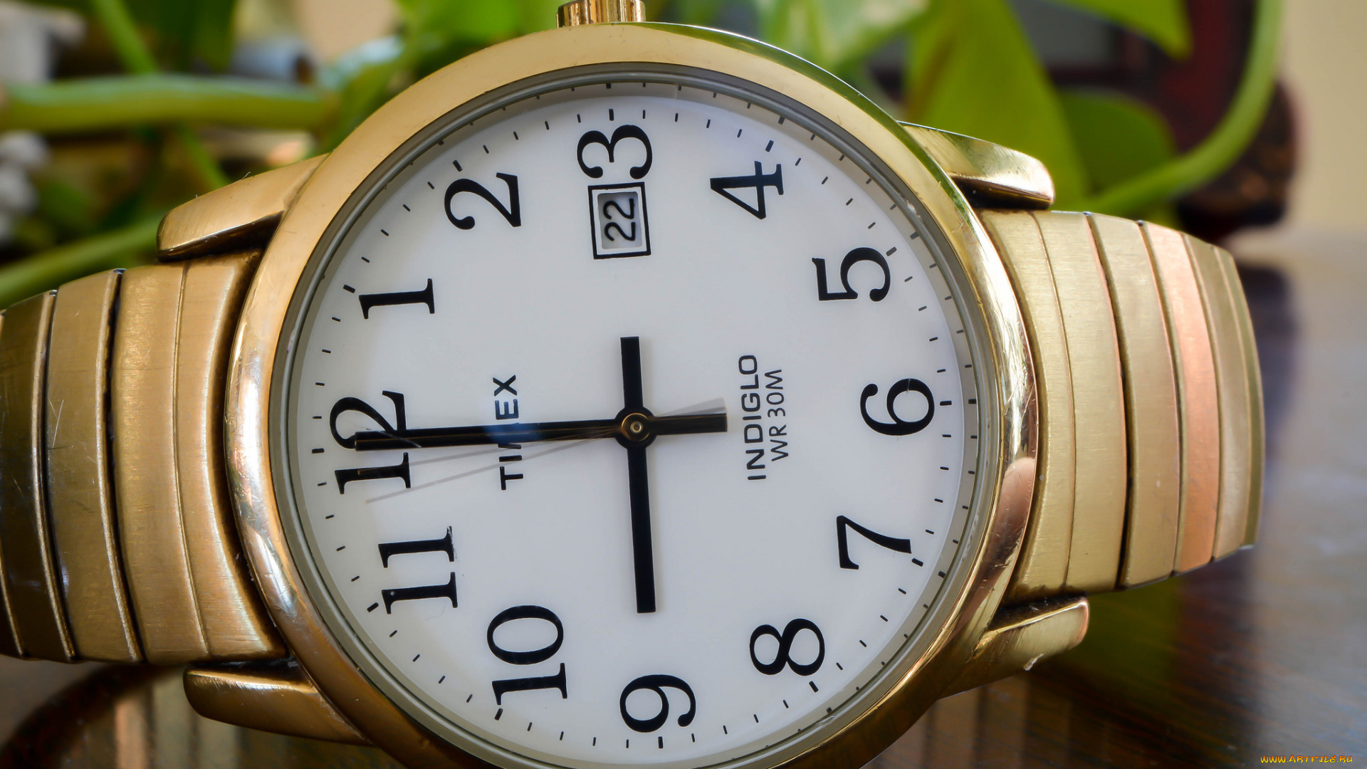 бренды, -, другое, часы