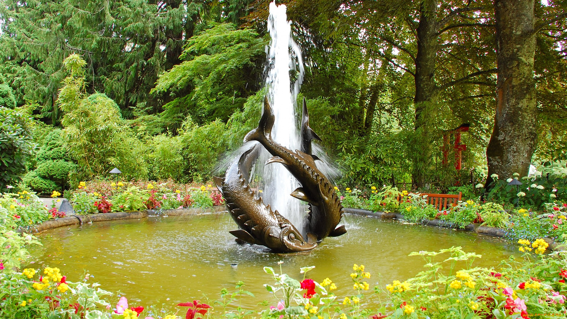 города, -, фонтаны, фонтан