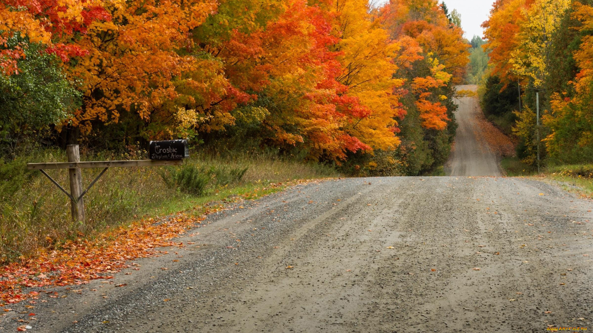 природа, дороги, проселочная, деревья, осень