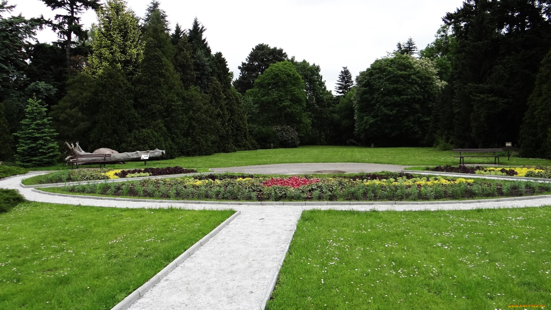 природа, парк, лужайки, аллея, клумба, деревья