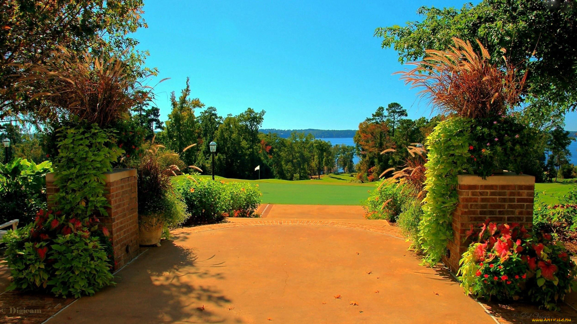 природа, парк, пейзаж