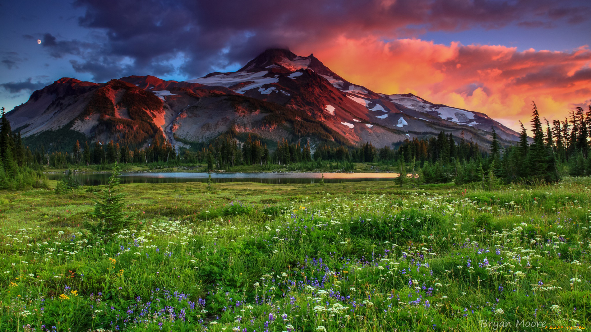 природа, пейзажи, гора, луг, трава, цветы, небо