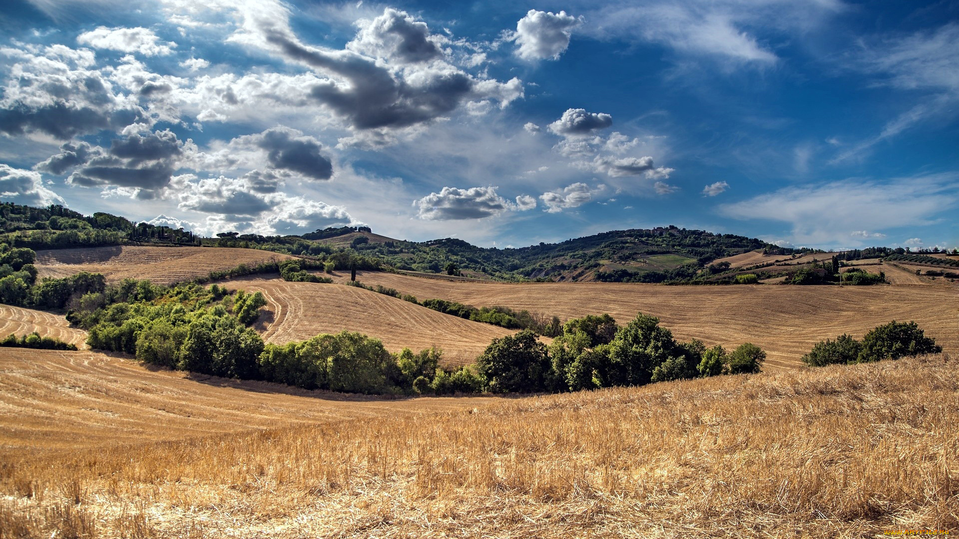 природа, поля, жнивье