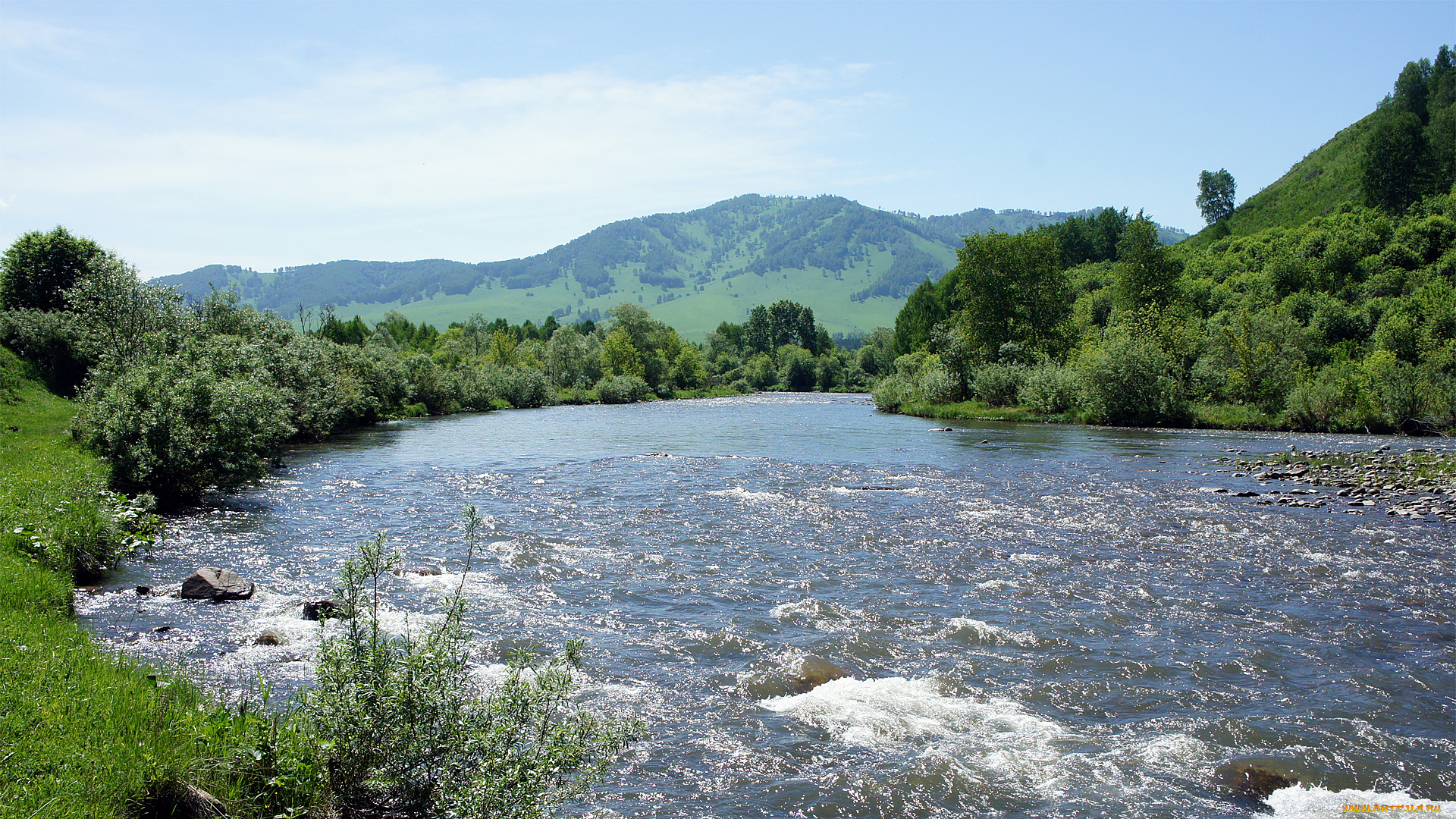 природа, реки, озера, лес, река