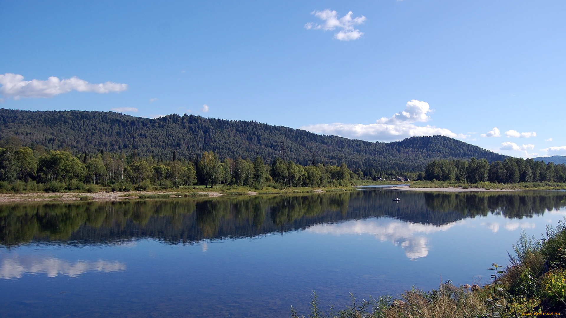 природа, реки, озера, лес, река