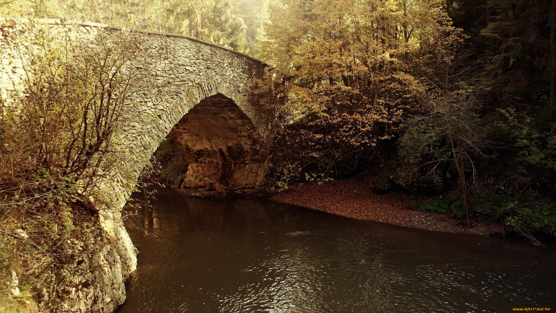 природа, реки, озера, мост, вода, река