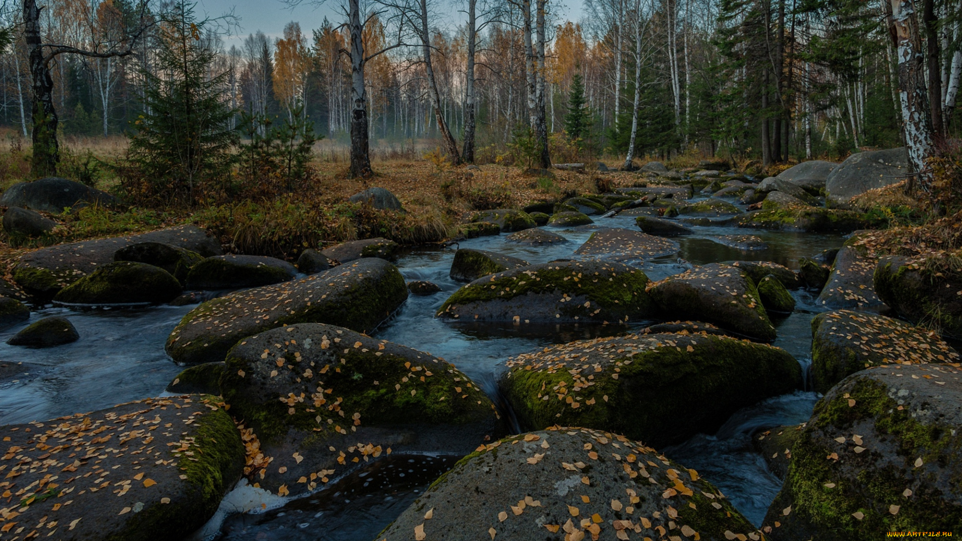 природа, реки, озера, поток, камни