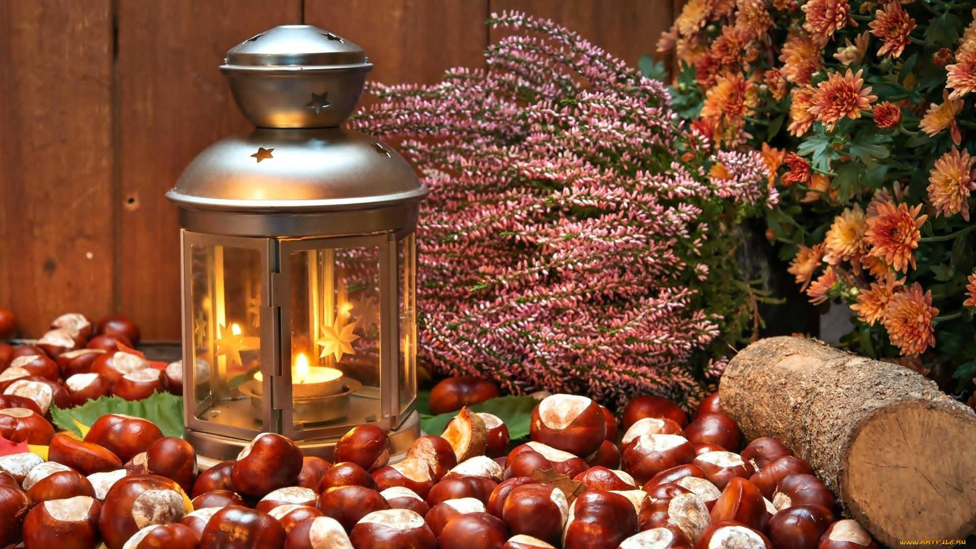 природа, шишки, , жёлуди, , каштаны, вереск, каштаны, фонарь