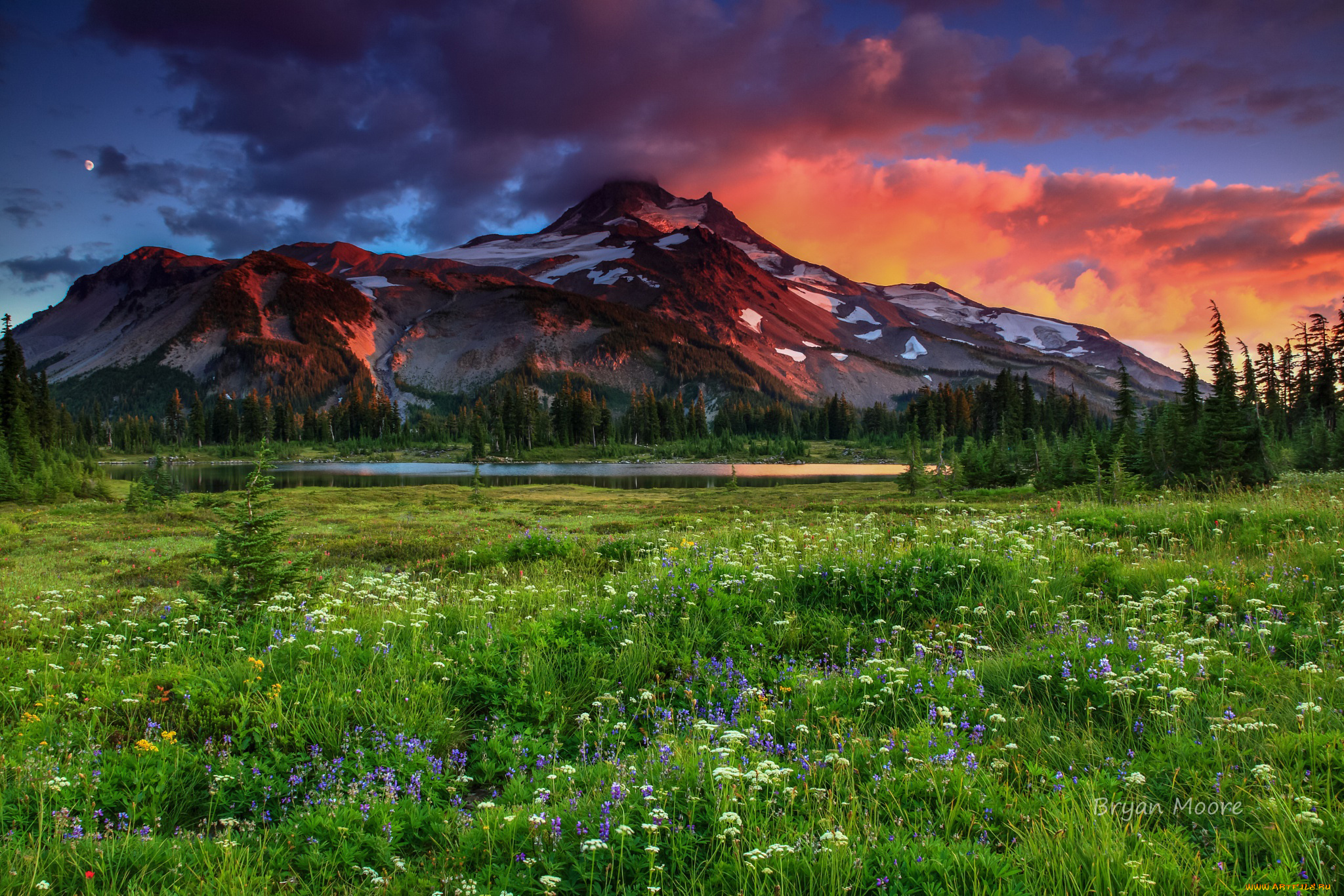 природа, пейзажи, гора, луг, трава, цветы, небо