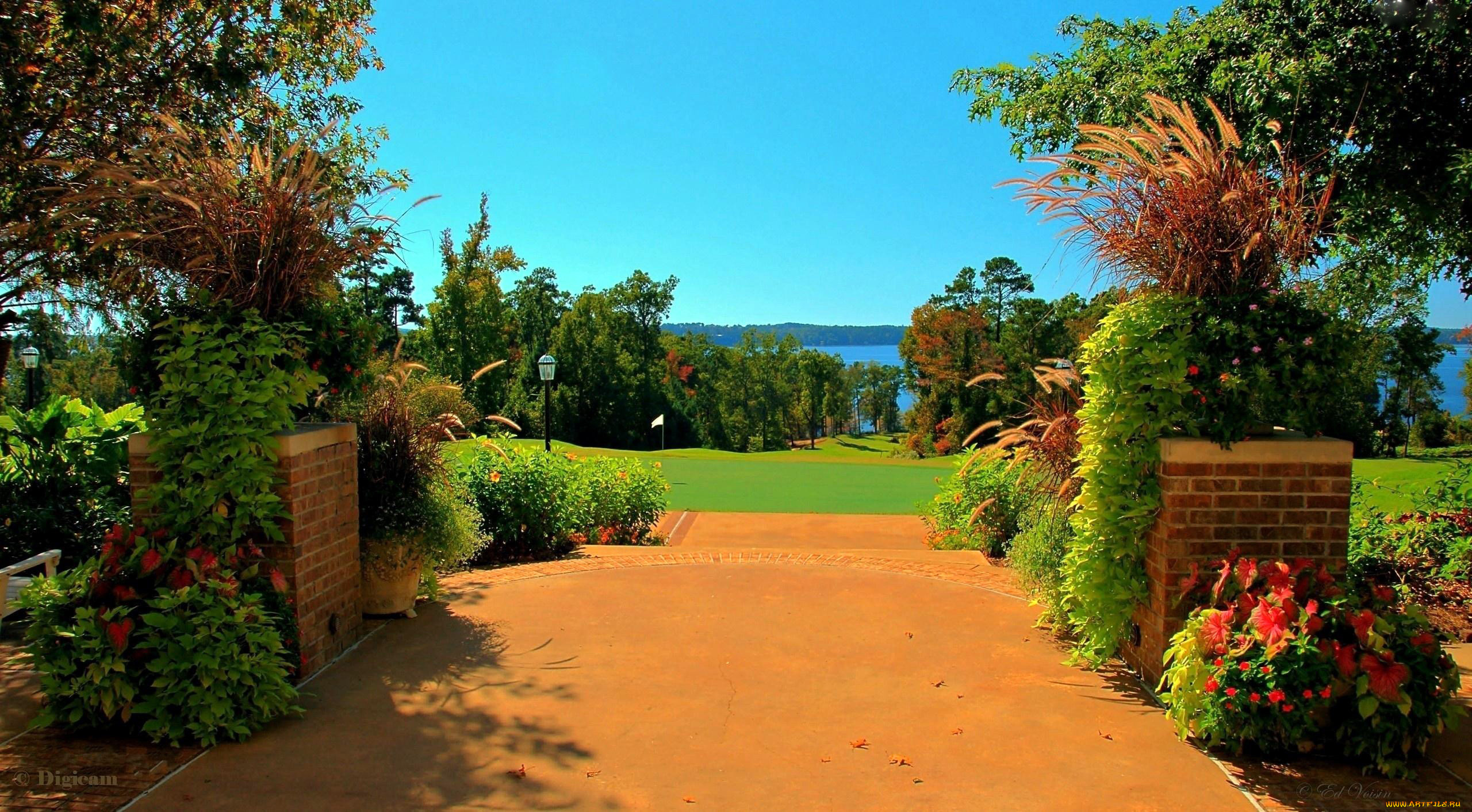 природа, парк, пейзаж