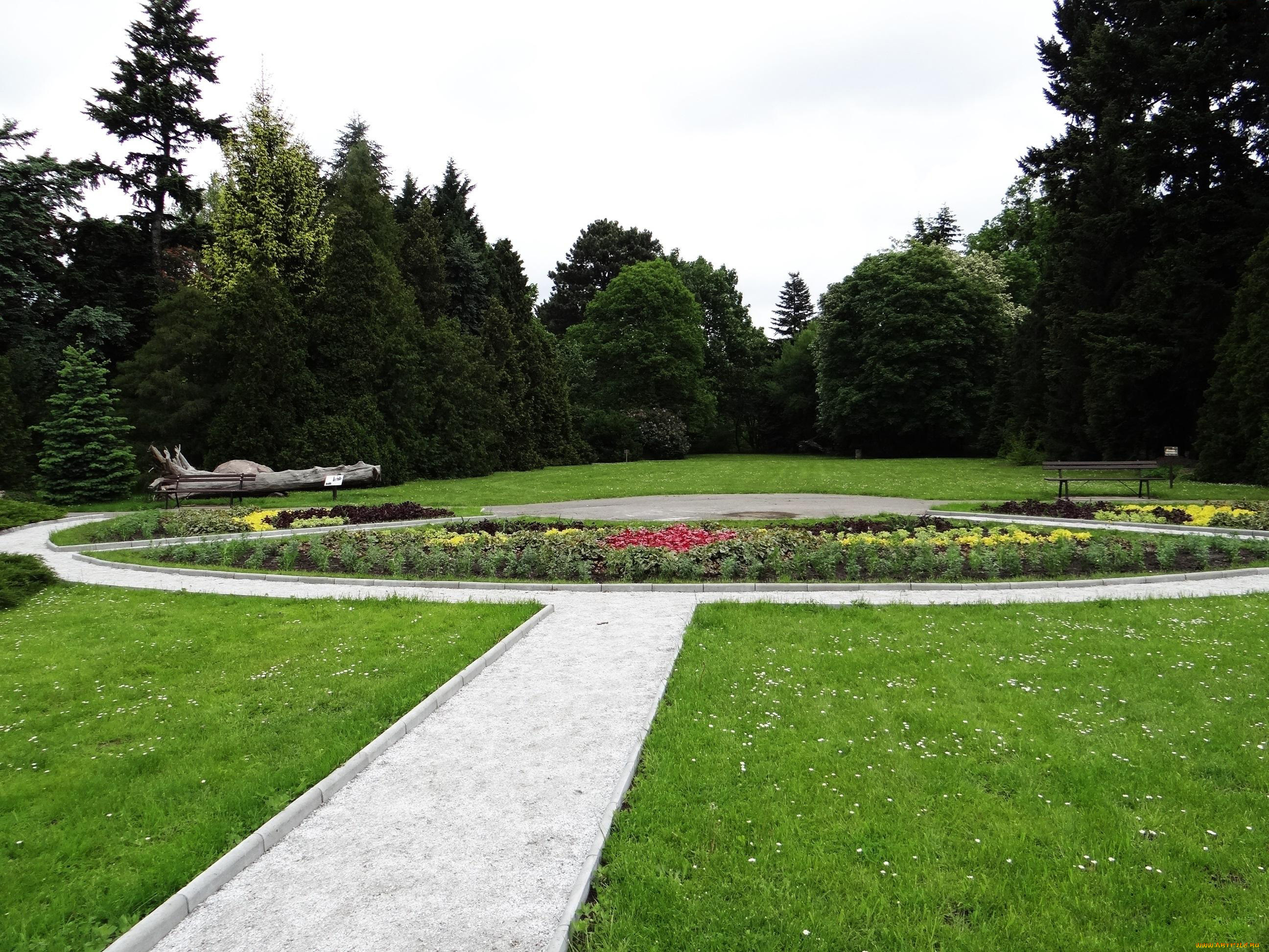 природа, парк, лужайки, аллея, клумба, деревья