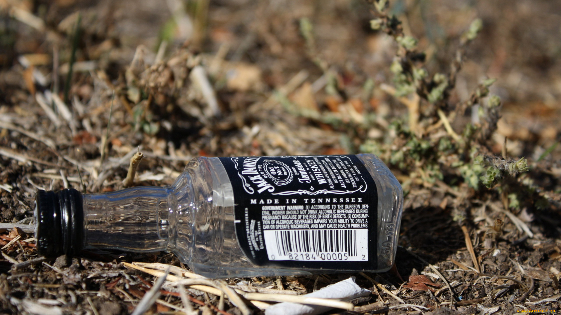 бренды, jack, daniel`s, виски